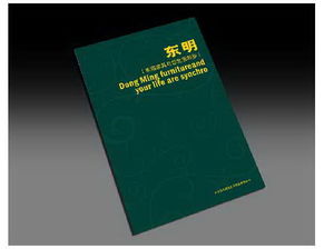 石家莊專業設計服務 從品牌形象到視覺傳達的一站式解決方案